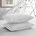Southshore Fine Linens - VILANO Springs - Pair of Quilted Pillow Sham Covers (No Inserts), 20" x 36", Bright White