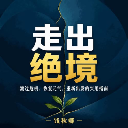 『走出绝境：渡过危机、恢复元气、重新出发的实用指南』のカバーアート