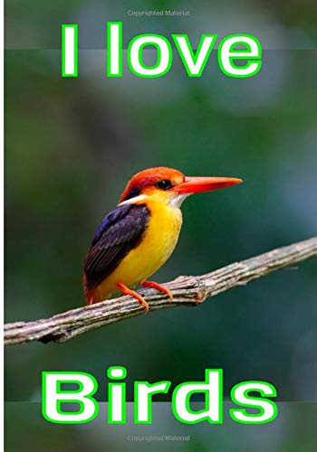I love birds: The amateur ornithologist's notebook, to study, list and record all the data of your observations. Gift for bird lovers