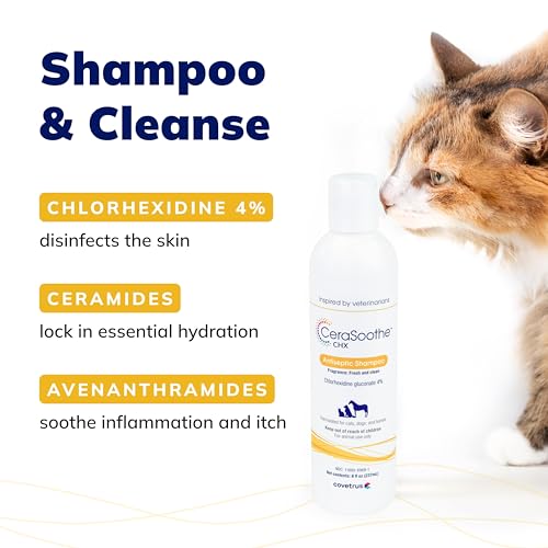 CeraSoothe® CHX Antiseptic Shampoo 16oz