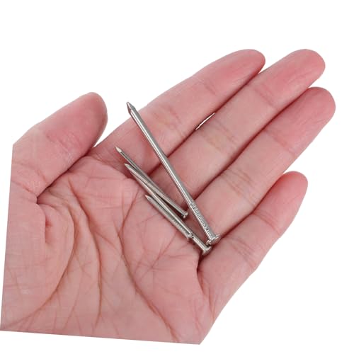 Image of WOONEKY Multi-Specification Hardware Nails Kit for Picture Frames Drywall Wall Mounting Decorative Nails Tool for Home Improvement