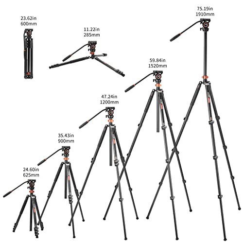 Cayer Fp2450 Fluid Head Tripod, 75 Inches Aluminium Tripod, 4-Section Compact Camera Tripod Convertible To Monopod For Dslr Camera, Load Capacity Up To 13.2 Pounds #TOP5