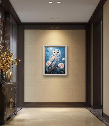 Image of Leczany Cross Stitch Stamped Kit for Beginner - Moonlight Owl | DIY Embroidery Starter Patterns Craft Kit Needlepoint for Adults | 11CT, 3 Strands | 13x16.9 inches