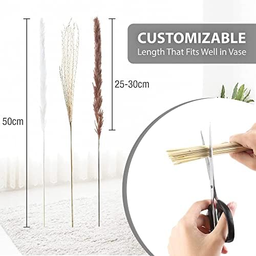 MH Traders Natural Pampas Grass - 60 Pieces. Pampas Grass Large 45 CM, Dried Flowers Bouquet for Vases, Wedding Decorations & Home Decor. Fluffy Pampas Grass Ideal for Outdoor & Indoor Decorations