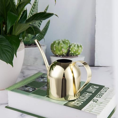 IMEEA 15oz Mini Indoor Watering Can for Small Plants Stainless Steel Watering Can with Long Spout for Desk, Windowsill & Bonsai (Gold) by IMEEA - Image 5