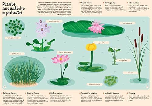 Enciclopedia Di Piante, Funghi E Licheni Per Piccoli Lettori. Nuova Ediz. - 4