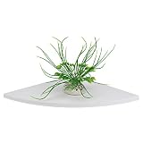 Gancon 3 Stück/Set Wandmontiertes schwimmendes Eckregal, platzsparendes Bücherregal für Aufbewahrungsregale für Heim und Büro