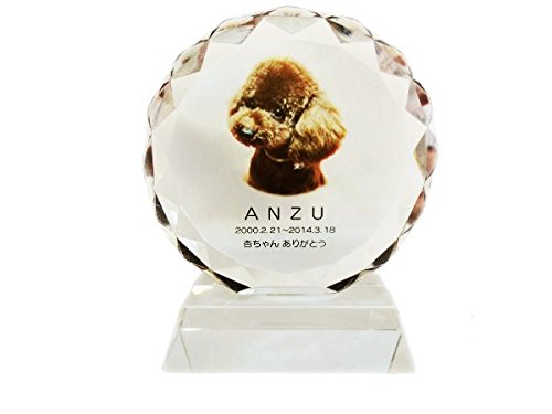 ybgʔv NX^ʔv T[N^ ij tJ[ (NA)