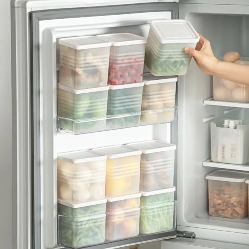 Image of Xiran Fridge Storage Containers, Storage Box for Kitchen, Refrigerator Organizer Containers, Kitchen Accessories Items for Home, Fridge Storage Boxes (Pack of 6, 1200Ml)