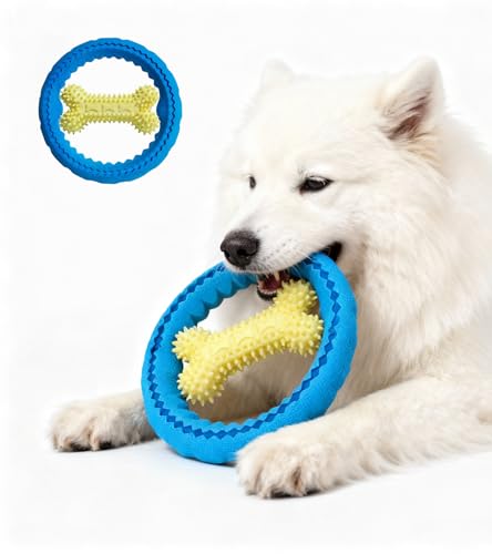 HOLYCAT    ނ tXr[ ^ ^ ^ tCOfBXN d  ɂ  ւ O   邨 V ϋv  e͐   V ^s XgX