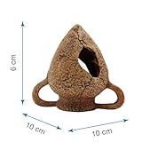 Amtra B01AXPSFL2 lato 2