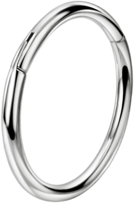 FANSING G23 Titanium Hinged Piercing Rings Hoop