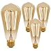 Vintage Edison Light Bulb 60W (4 Pack) - Dimmable Exposed Filament - Incandescent Clear ST58 Teardrop Squirrel Cage Style - E26 Medium Base 2700K - 210 Lumens (4 Pack)