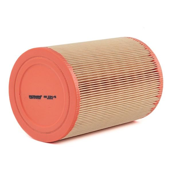 Filtron Filtro Aria AR234/4 - Rotondo, Per Fiat Bravo II E Lancia Delta III
