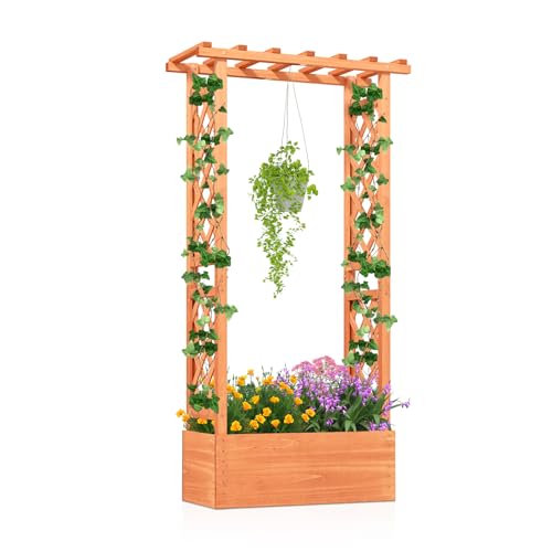 LDAILY Raised Garden Bed with Trellis, Above Ground Garden Bed with Hanging Roof, Side Trellis, & Drainage Holes, Planter Box for Outdoor Climbing Plants Vines Flowers (1, 31" L x 14" W x 60" H)