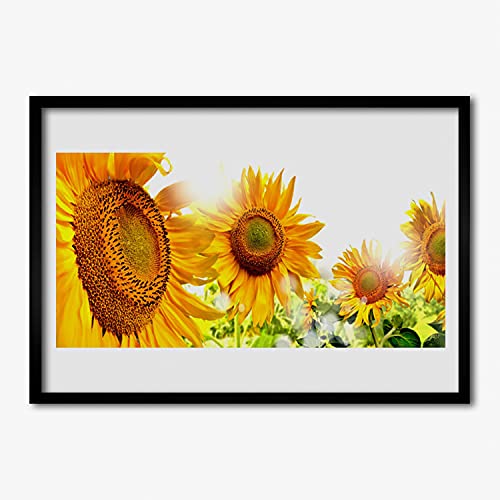 Affiche encadrée 70x50 cm tournesol sous cadre MDF de Tulup