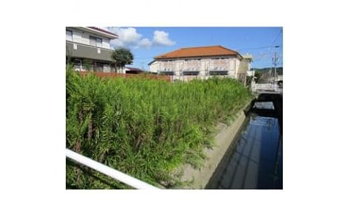 草刈り作業 6,000円引きクーポン