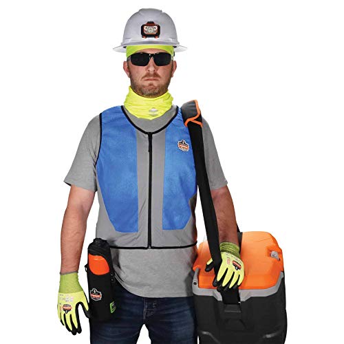 Ergodyne Chill-Its 6667 Cooling Vest, Evaporative PVA Material for Fast Cooling Relief, Blue, XX-Large
