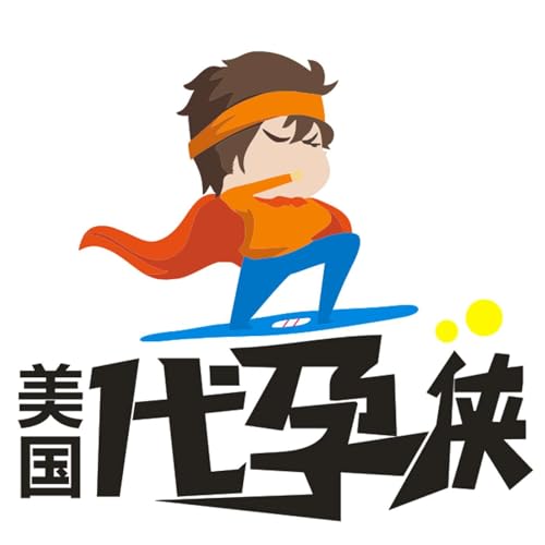 『美国代孕故事-------一个中国人在美国经营代孕公司，分享亲身经历的真实的代孕故事』のカバーアート