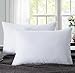 puredown® Goose Feather Down Blend Soft and Flat Pillow for Sleeping Cotton Cover, Queen Size, Set of 2