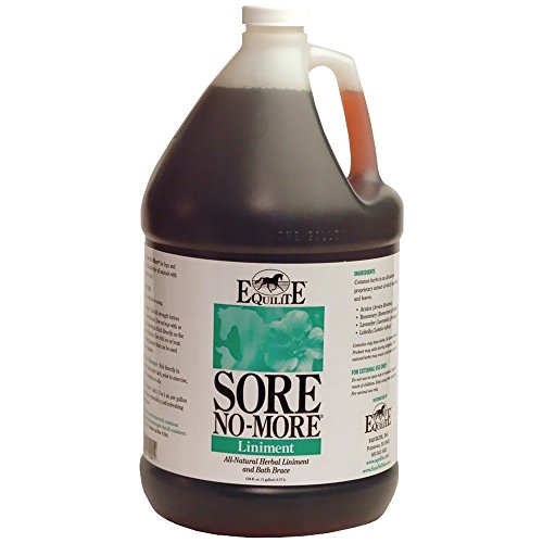 Arenus Sore No More Liniment 64 Oz #TOP14