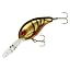Brown Fall Craw