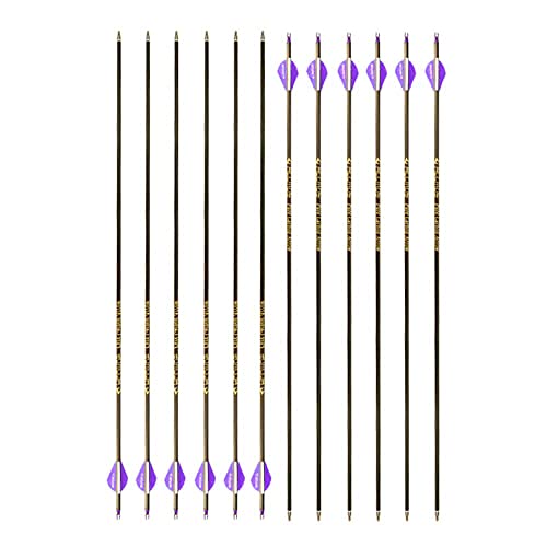 27 Inch Arrow Spine 400 Arrow Target Practice Arrow Hunting Arrow Carbon Arrows Compound Bow Recurve Bow Adult Youth Archery Indoor Outdoor Shooting Bullet Field Tip 12Pc Id 6.2Mm #TOP4