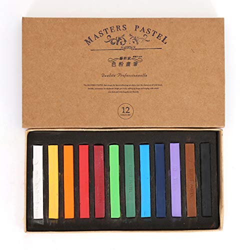 Bastone di pittura della polvere del pigmento di 12 colori, polvere di disegno di arte dipinta a