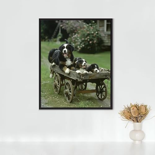 Broderie Diamant Cristal Art Kits pour Décoration Murale Maison