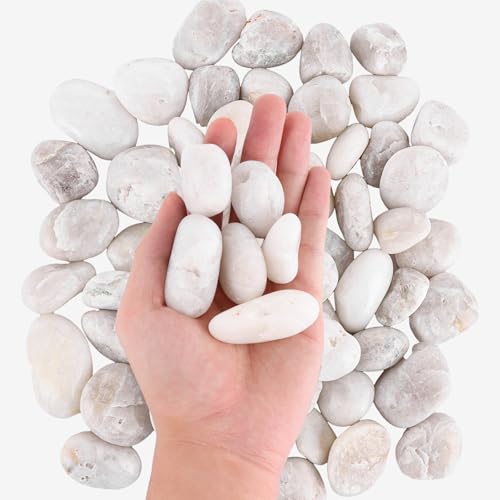 ASelected 4.2 Lb Small White Pebbles,20 To 30 Mm Decorative 