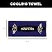 Northwest Baltimore Ravens NFL Fast Flow Mesh Cooling Towel 12 x 31.5 Inches