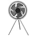 Ventilatore Da Scrivania, Ventilatore Treppiede Portatile 3 in 1 a 3 Velocità Silenzioso Con Luce Ventilatore Personale Ricaricabile Usb Da 10000 Mah Con Funzione Power Bank Per Il Campeggio(Bianco)