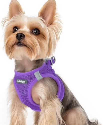 rabbitgoo Hundegeschirr Kleine Hunde, Step-in Weiches Mesh, Lila | Einfach anzulegen, Atmungsaktiv & Reflektierend, Ausbruchsicher mit Sicherheitsverschluss für Kleine Hunde Gassi,