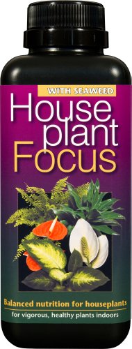 Houseplant Focus Balanced Liquid Concentrated Fertiliser 500ml