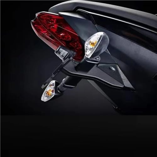 Support de plaque à queue courte rigide pour Street Triple 675 R et 765