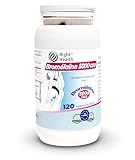 BROMÉLAÏNE 5000 GDU. 120 Comprimés Haute Dose Avec Bromélaïne...
