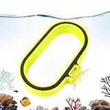 Dispensador de Alimento para Acuarios y Peceras - Recipiente De Alimento con En Forma De | Dispensador De para Peces - para Entusiastas Acuarios De Agua Dulce Y Salada Uso Interior Y Exterior