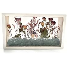 WANLIAN Acrylic Photo Frames,7X12inch Clear Double Sided Picture Frame,Plexiglass Storage Boxes Commemorative photo Collection frame Animal and plant herbarium frame