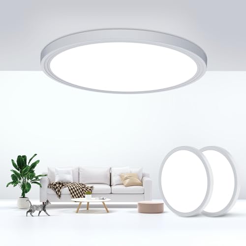 DEALGADGETS Flush Mount Ceiling Light Fixtures,24W Flat led Light for Ceiling,6000K 2200LM Ultra Thin Round White Lamp for Bedroom Kitchen,Bathroom,Garage,Living Room, Dining Room -2PCS