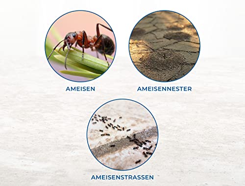 Ameisenköderdose Protect Home Natria für effektive Ameisenbekämpfung