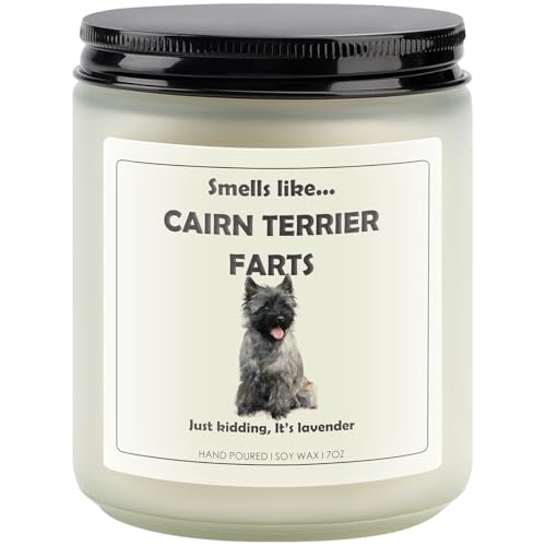 Cairn Terrier Gifts, Cairn Terrier Gifts for Women, Dog Farts Candle | Lavender Scent, Handcrafted with Natural Soy Wax