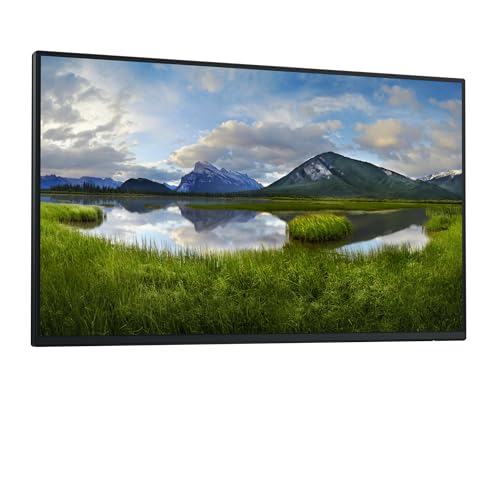 Dell 24 USB-C Hub Monitor P2425HE no s
