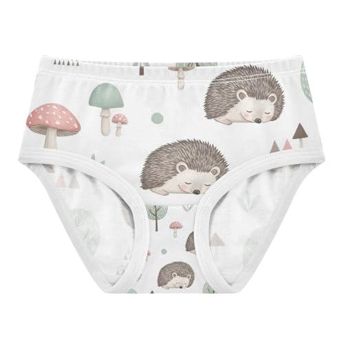 Girl Panties, Cute Hedgehogs Toddler Girl Panties, Cotton Underwear Girls, 2T–8 Years