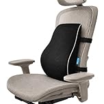 QUTOOL Ergonomic Lumbar Support Pillow for Office Chair,High-Density Memory Foam Back Cushion with Dual Adjustable Straps,Breathable 3D Mesh Cover for Long Sitting