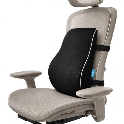 OxGord Lumbar Support Mesh Back Cushion