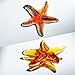 H&D HYALINE & DORA Amber Blown Glass Starfish Figurine Miniature Ocean Animals Collectible Figurine Tiny Glass Starfish for Tables, Desks Home Decor