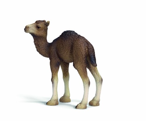 Preisvergleich Produktbild Schleich Dromedar Fohlen