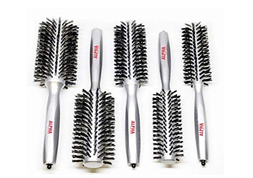 Professional Hair Brushes Neutral Boar Bristle European Wood (Silver)5Pc By Alpha new York