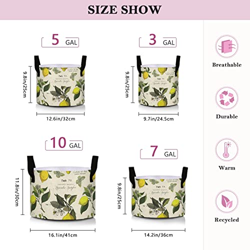 Sinestour 10 Gallon Heavy Duty Fabric Grow Bags #TOP30
