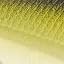 Silver TN Shad